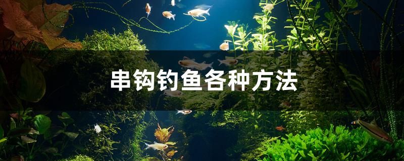 串鉤釣魚各種方法