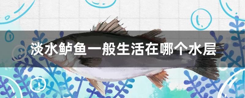 淡水鱸魚一般生活在哪個(gè)水層 福魟魟魚