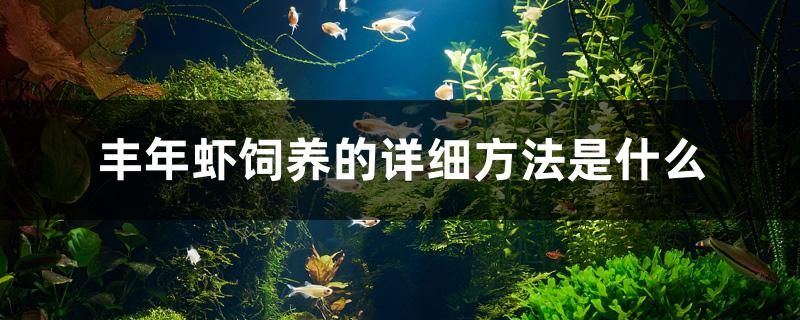 豐年蝦飼養(yǎng)的詳細(xì)方法是什么 潛水泵