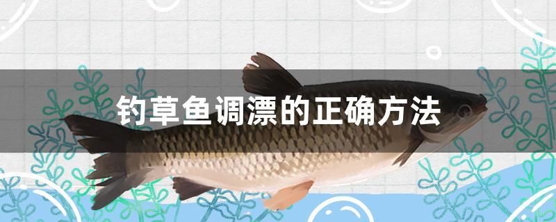 釣草魚調(diào)漂的正確方法 羽毛刀魚苗