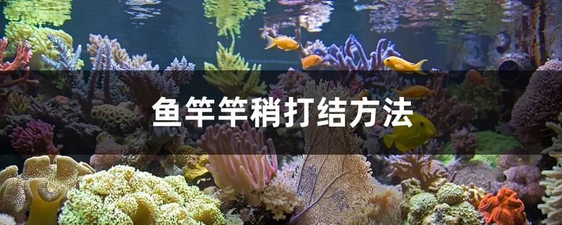 魚竿竿稍打結(jié)方法