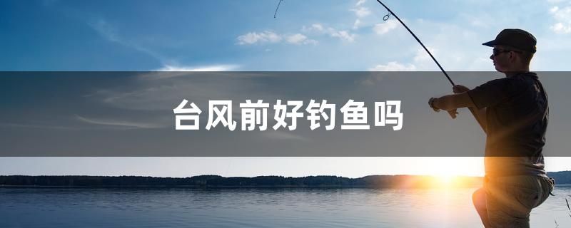 臺(tái)風(fēng)前好釣魚(yú)嗎