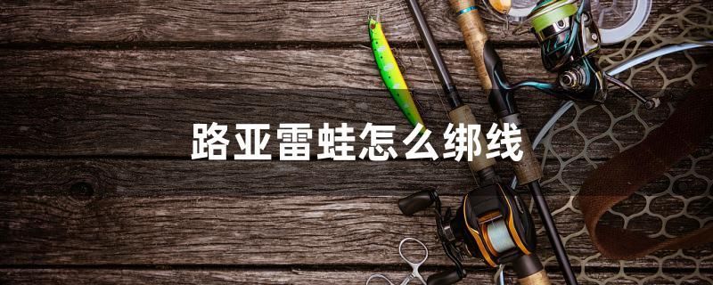 路亞雷蛙怎么綁線 南美異型魚