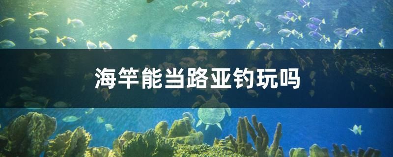 海竿能當(dāng)路亞釣玩嗎