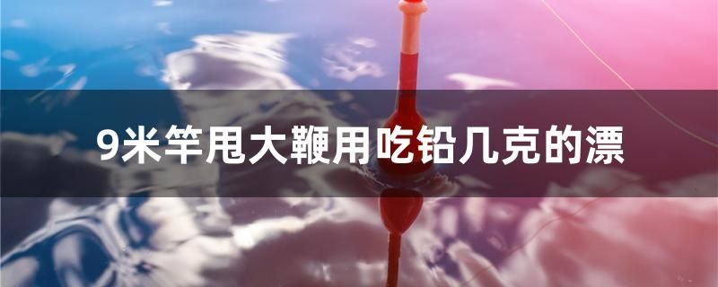 9米竿甩大鞭用吃鉛幾克的漂 泰國斗魚