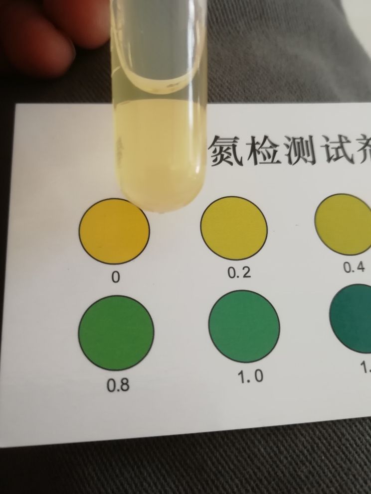 自來水氨氮測(cè)試結(jié)果 觀賞魚論壇