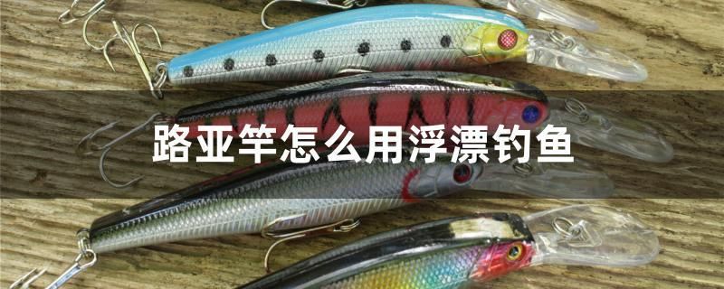 路亞竿怎么用浮漂釣魚(yú)