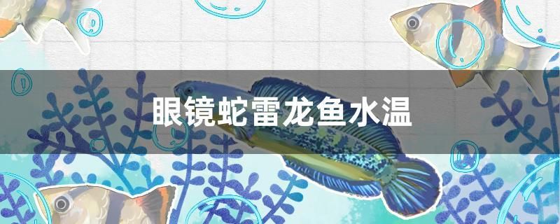 眼鏡蛇雷龍魚水溫 祥龍傳奇品牌魚缸