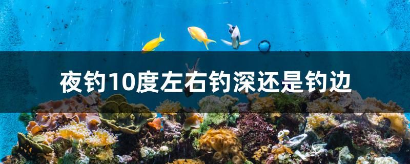 西安買魚缸去哪里便宜（ 西安買魚缸批發(fā)市場(chǎng)） 赤焰中國虎魚