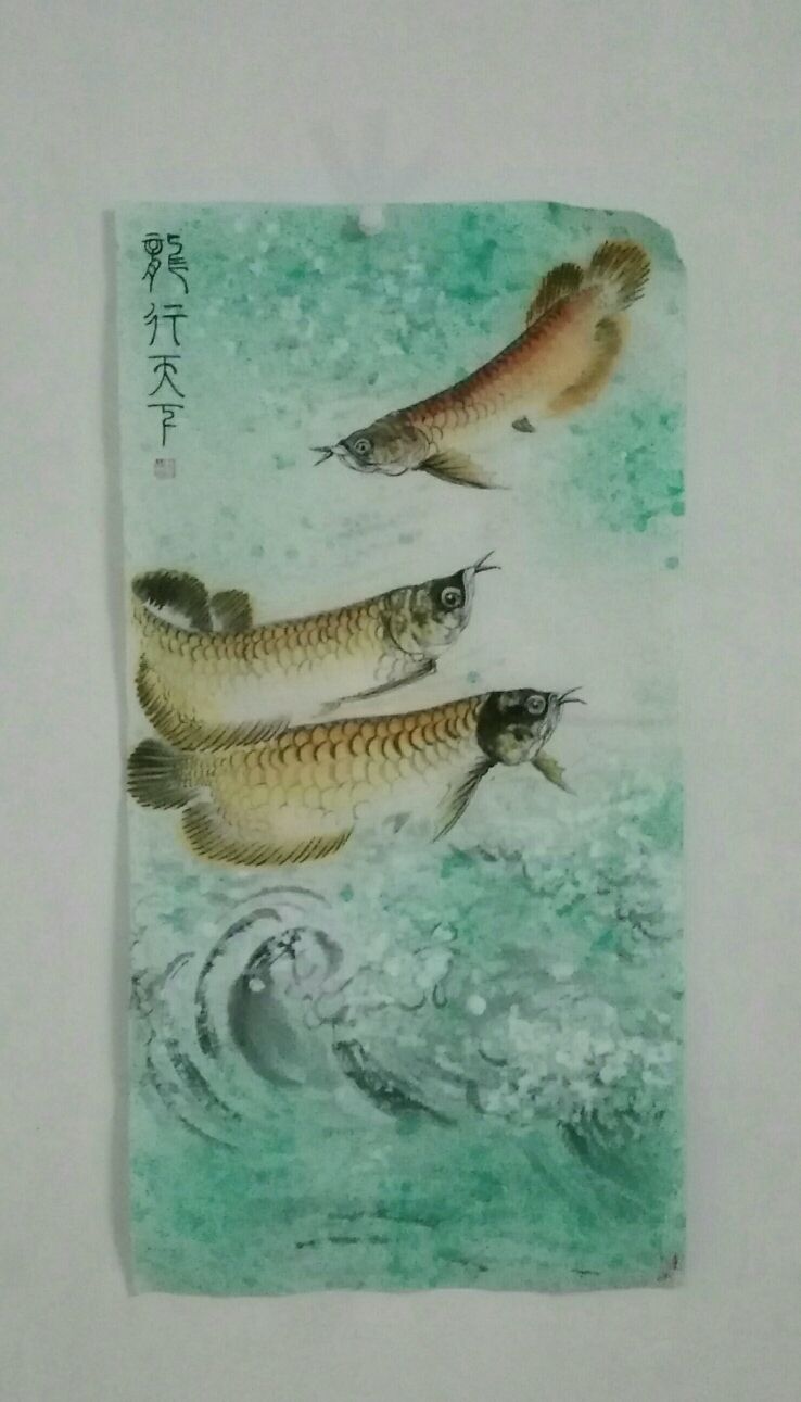 我畫的金龍魚，魚中之王，鎮(zhèn)宅之寶。 觀賞魚論壇 第1張