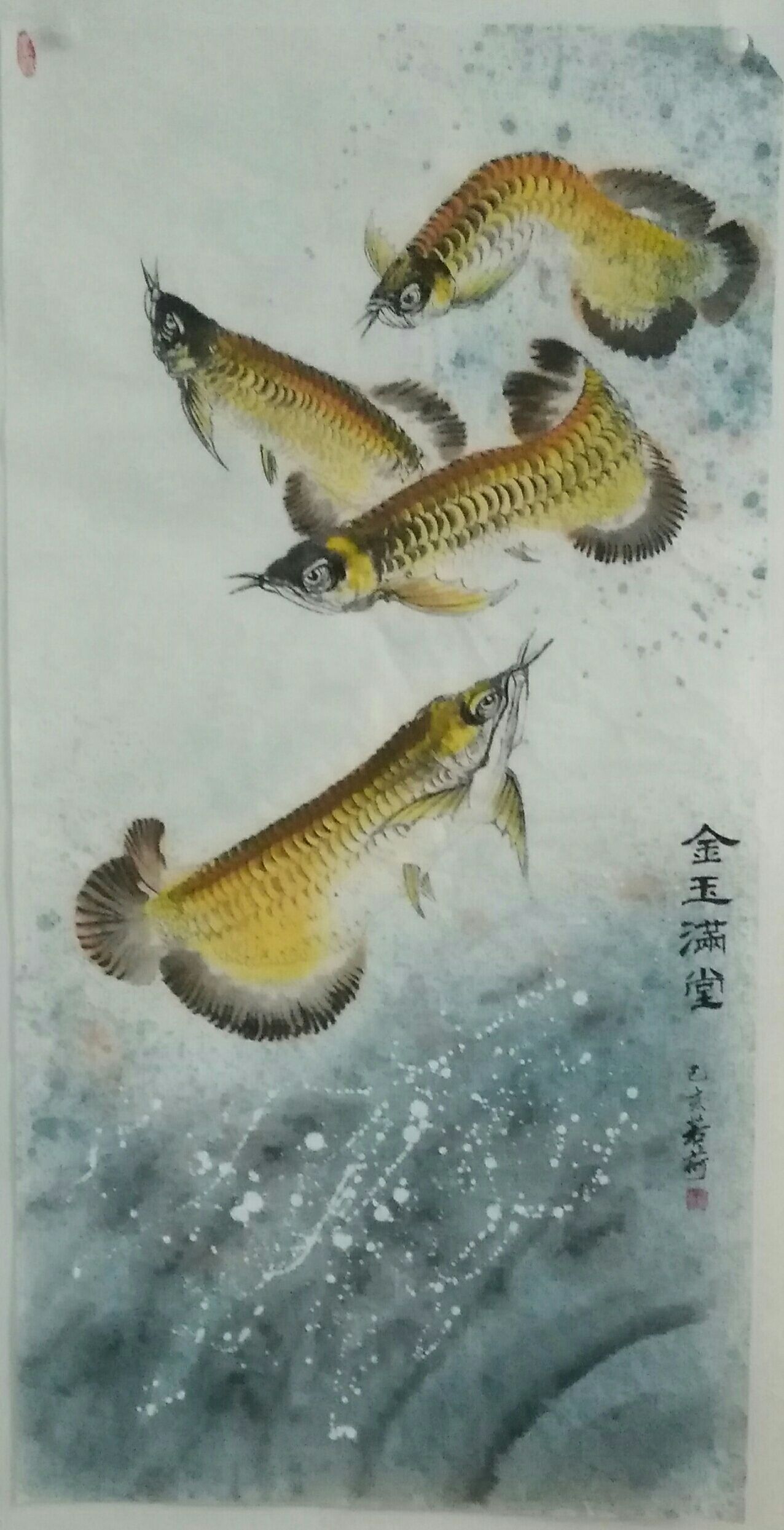 我畫的金龍魚，魚中之王，鎮(zhèn)宅之寶。 觀賞魚論壇 第3張