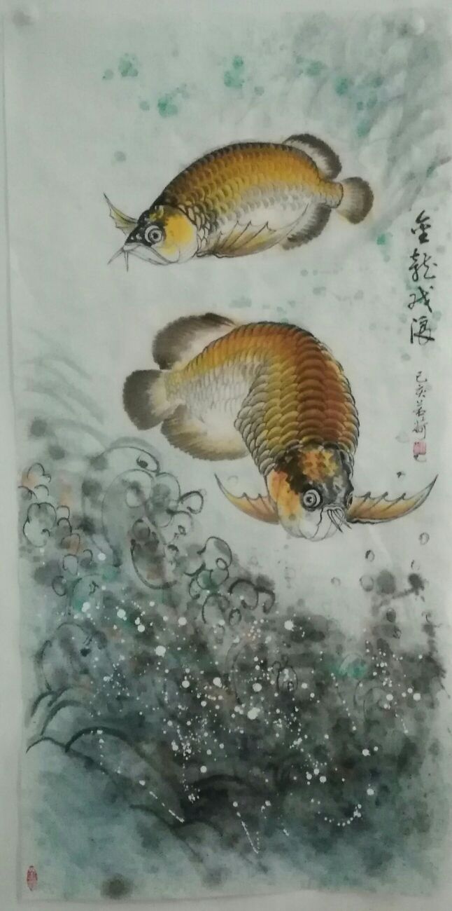 我畫的金龍魚，魚中之王，鎮(zhèn)宅之寶。 觀賞魚論壇 第6張