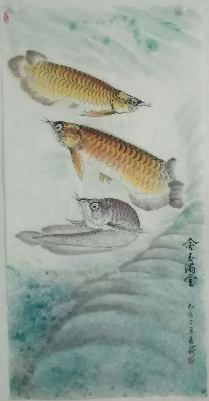 我畫的金龍魚，魚中之王，鎮(zhèn)宅之寶。 觀賞魚論壇 第8張