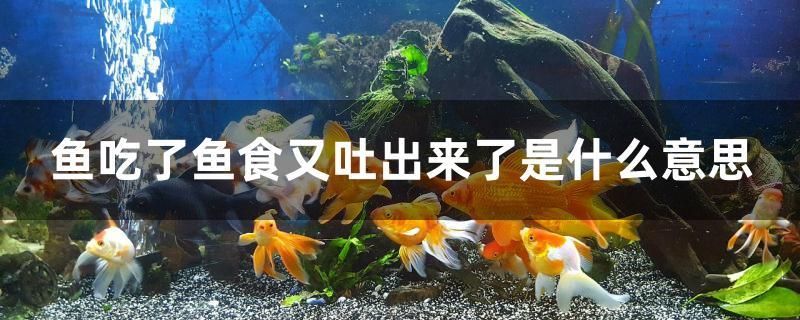 魚吃了魚食又吐出來了是什么意思 黑云魚