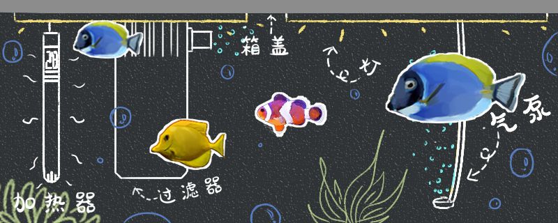 小丑魚可以用淡水養(yǎng)嗎養(yǎng)海水魚需要什么設(shè)備