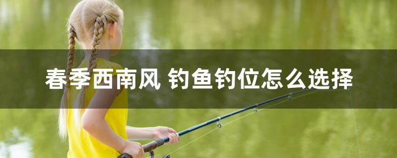 春季西南風(fēng)釣魚(yú)釣位怎么選擇