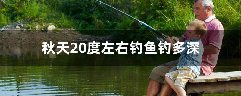 秋天20度左右釣魚釣多深 名貴錦鯉魚