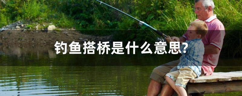 釣魚搭橋是什么意思？ 速倍妥魚糧魚藥