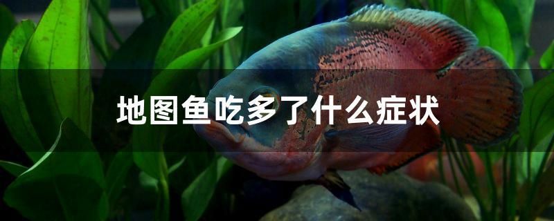 龍魚開燈時(shí)間長會(huì)掉眼嗎為什么會(huì)死（龍魚開燈時(shí)間長會(huì)掉眼嗎為什么會(huì)死魚）