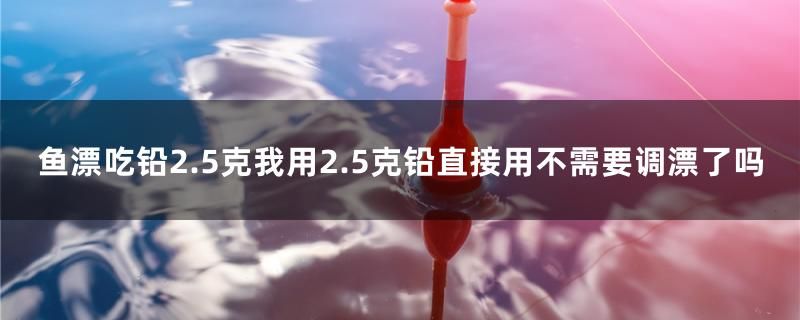 魚漂吃鉛2.5克我用2.5克鉛直接用不需要調(diào)漂了嗎