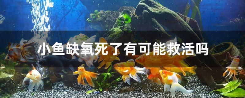 小魚缺氧死了有可能救活嗎