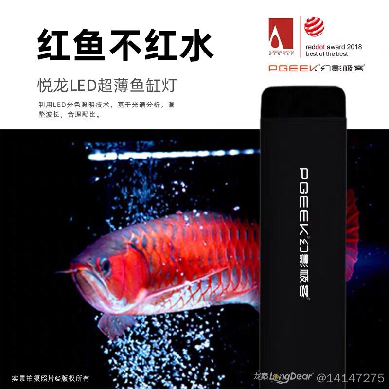 紅龍魚價(jià)格及圖片大全集欣賞圖解（紅龍魚價(jià)格及圖片大全集欣賞圖解） 龍魚百科