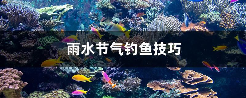 雨水節(jié)氣釣魚技巧