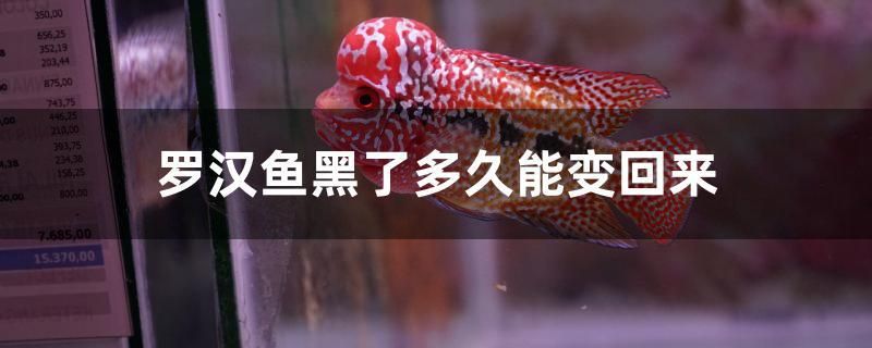 羅漢魚(yú)黑了多久能變回來(lái)