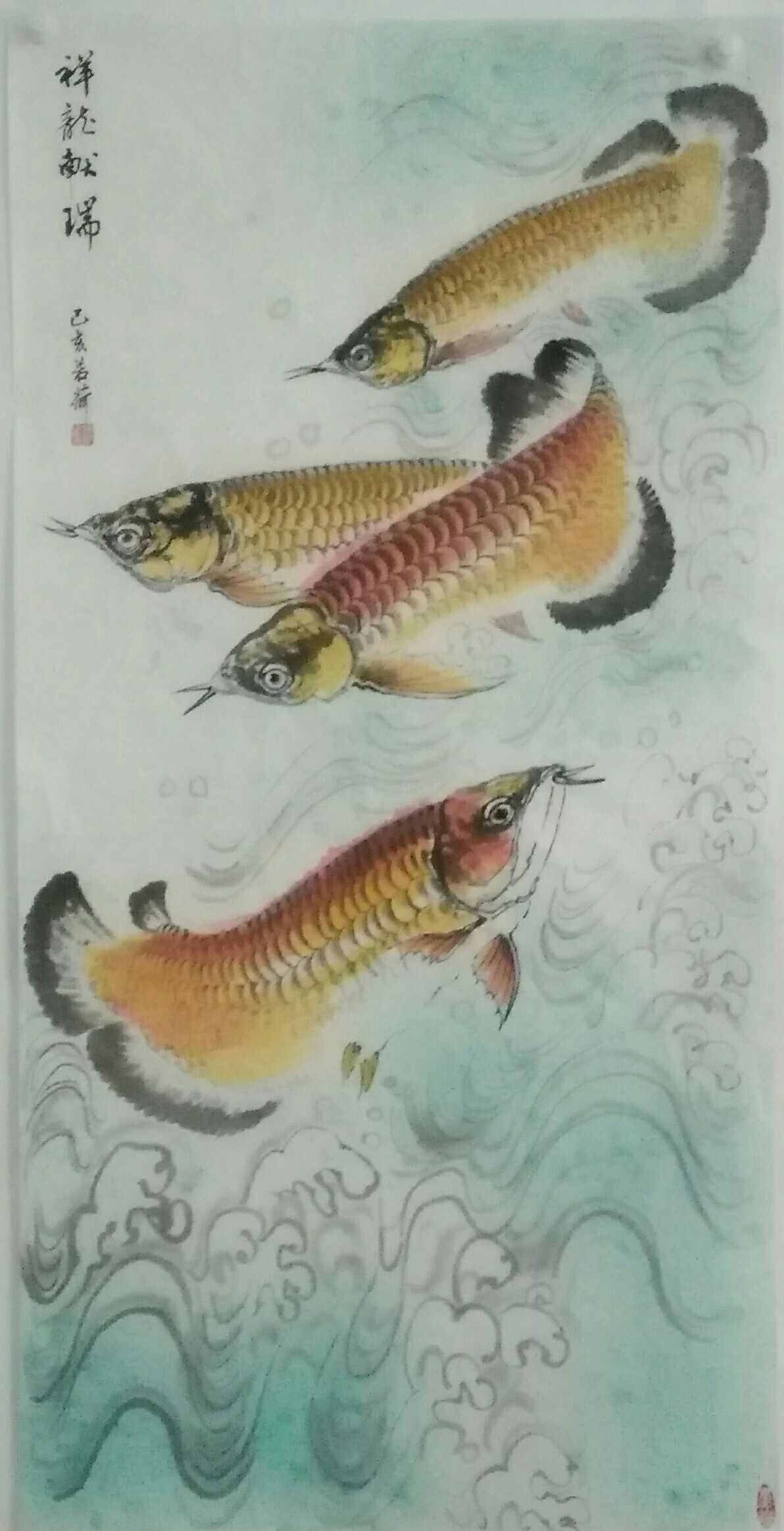 國畫金龍魚 觀賞魚論壇 第3張