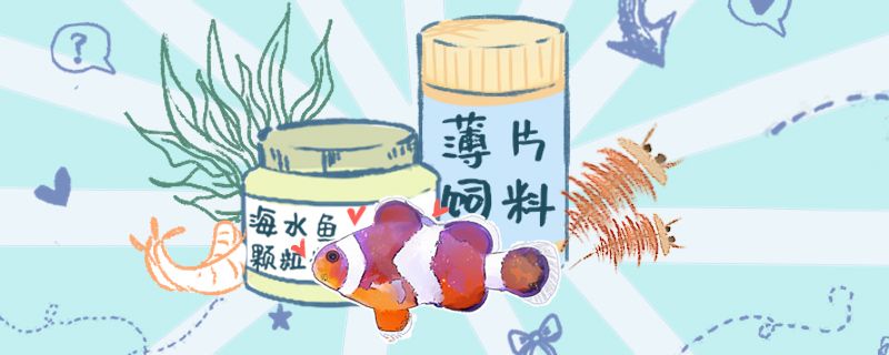 皇冠魚缸價(jià)格表（魚缸吧臺(tái)價(jià)格有誰比較清楚么,麻煩告訴下）