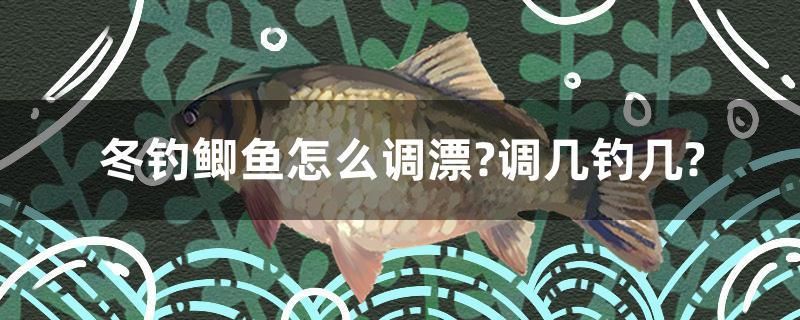 冬釣鯽魚怎么調(diào)漂？調(diào)幾釣幾？