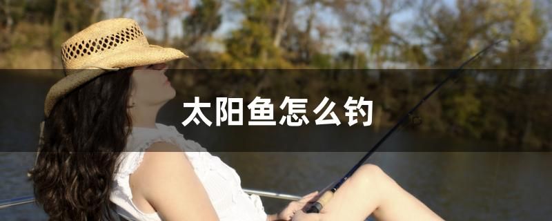 太陽魚怎么釣