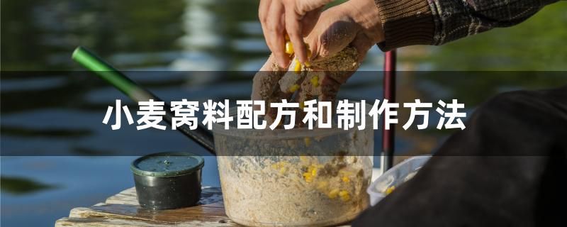 小麥窩料配方和制作方法