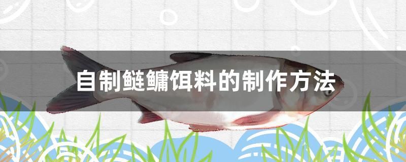 自制鰱鳙餌料的制作方法 申古三間魚 第1張