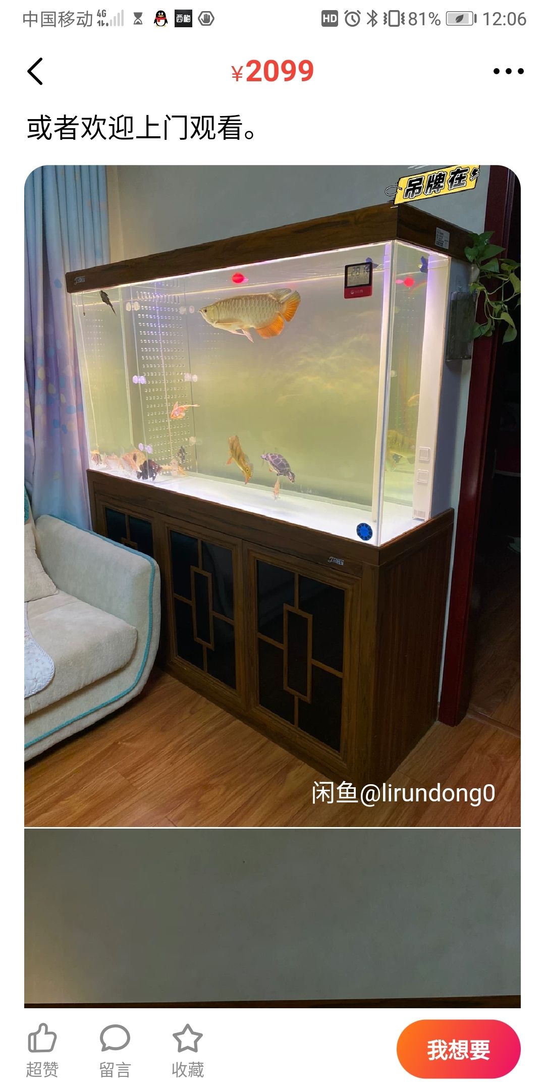 空間與魚