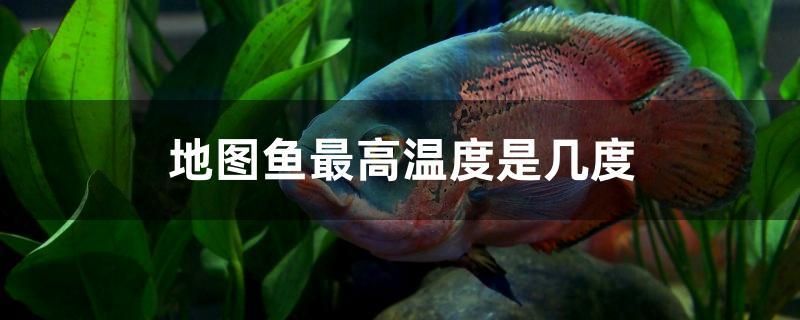 地圖魚最高溫度是幾度