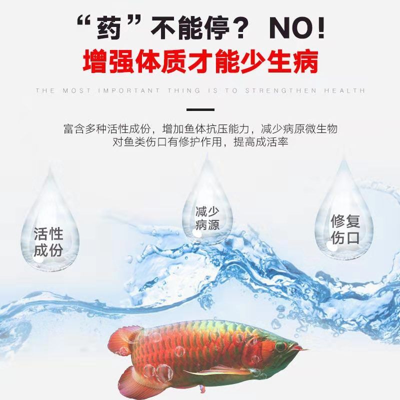 【活動(dòng)】紅紅火火鸚鵡魚(yú)走起來(lái) 觀賞魚(yú)論壇 第4張