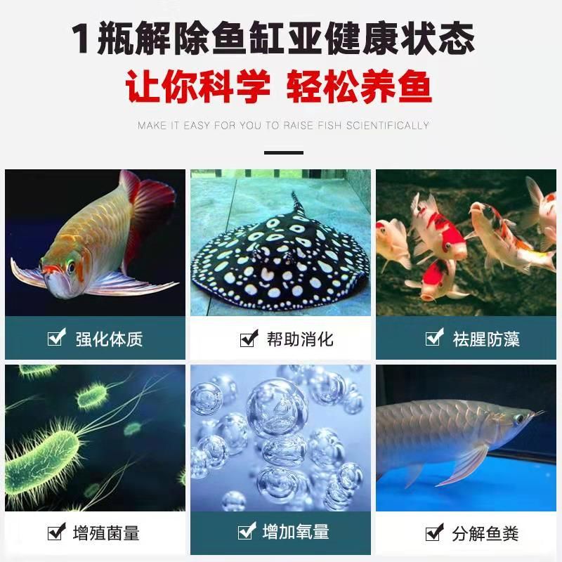 【活動(dòng)】紅紅火火鸚鵡魚(yú)走起來(lái) 觀賞魚(yú)論壇 第3張