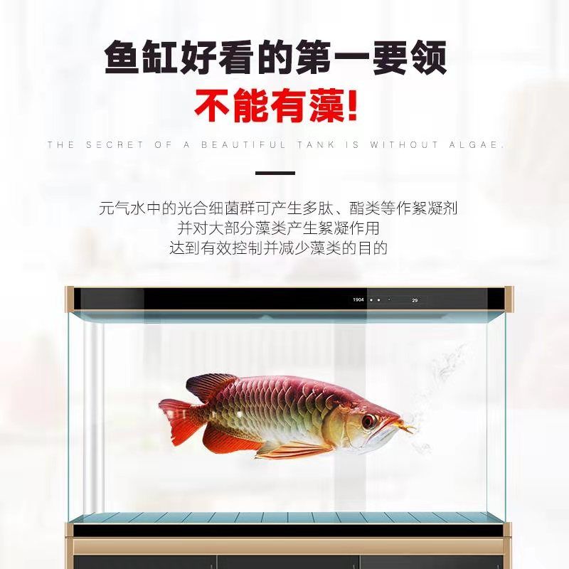 【活動(dòng)】紅紅火火鸚鵡魚(yú)走起來(lái) 觀賞魚(yú)論壇 第7張