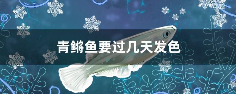 青鳉魚要過幾天發(fā)色