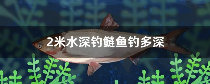 2米水深釣鰱魚釣多深 過背金龍魚 第1張