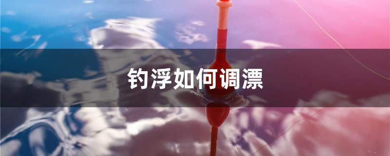 釣浮如何調(diào)漂 祥龍水族醫(yī)院 第1張