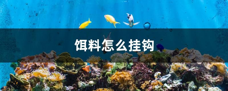 風(fēng)水上魚缸（誰能說下風(fēng)水魚缸多大尺寸為好） 龍魚麻藥（祥龍Nika）