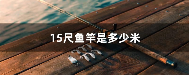 15尺魚竿是多少米