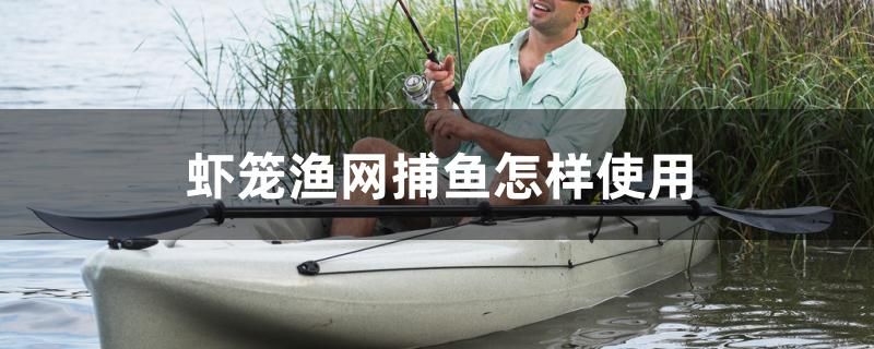 蝦籠漁網(wǎng)捕魚怎樣使用