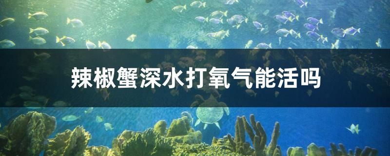 辣椒蟹深水打氧氣能活嗎