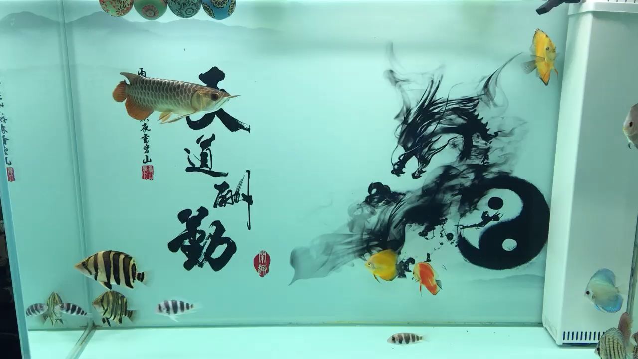 盤錦二手魚缸水族箱出售電話地址在哪（ 盤錦二手廚具市場在哪）