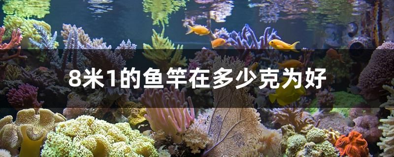 8米1的魚竿在多少克為好