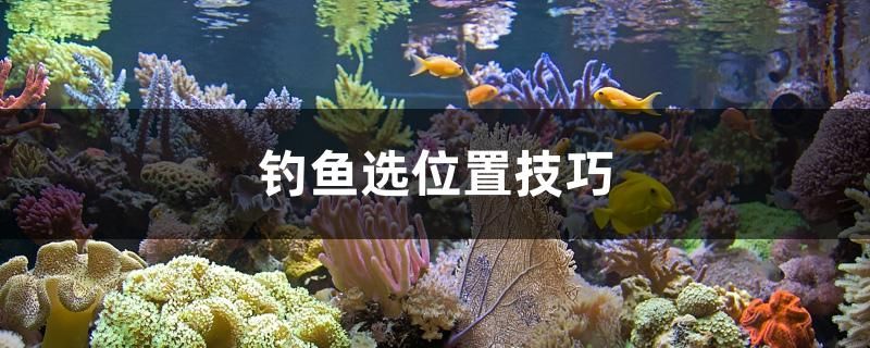 釣魚選位置技巧