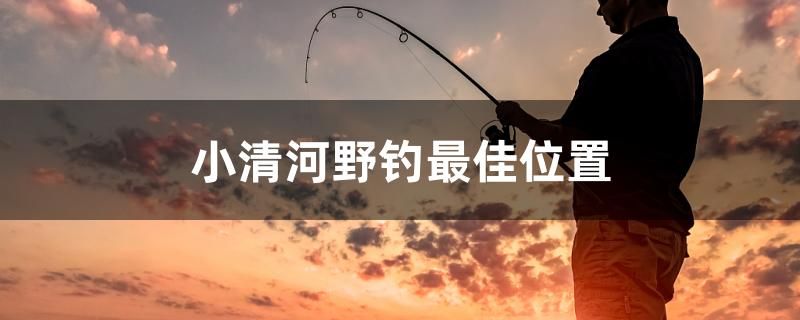 小清河野釣最佳位置